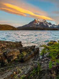 Carla Fernández - Compradora de Facebook